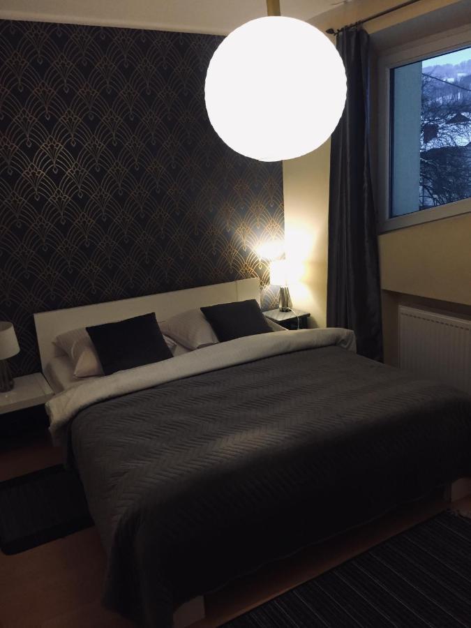 Willa Pod Stara Skocznia 维斯拉 外观 照片